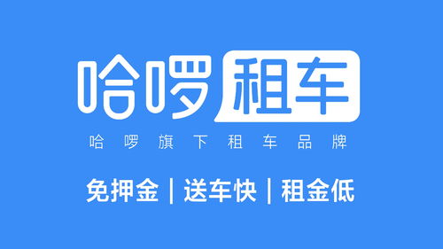 暑假租车出行受热捧 哈啰租车多城上线租赁服务